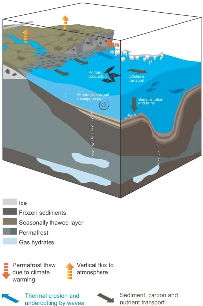 Illustration of the sedimentary model in the studied environment