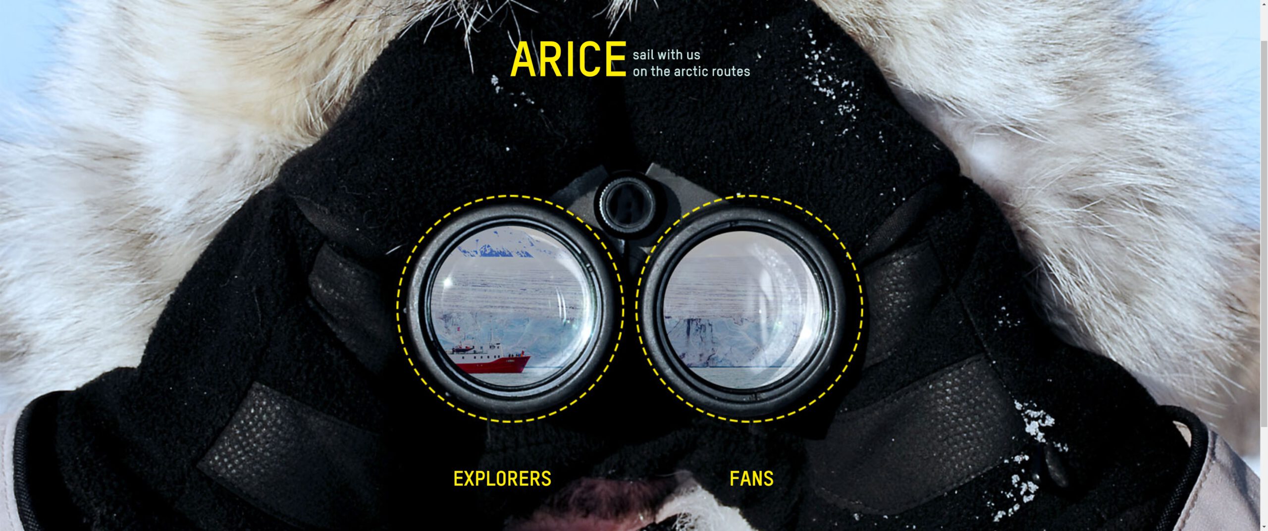 ARICE 3D Icebreaker launch event (online)
